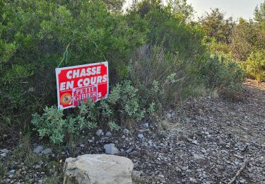 Randonnée Marche La Farlède - De La farlède vers le sommet du Mont Coudon, puis retour par le petit Coudon - Photo