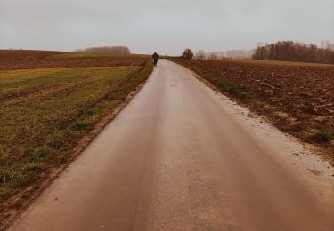 Trail Walking Le Rœulx - La Haye du Roeulx  - Photo