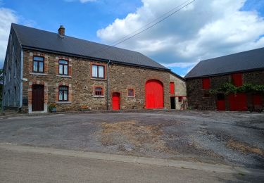 Tour Wandern La Roche-en-Ardenne - 9km-hives-ardennes - Photo