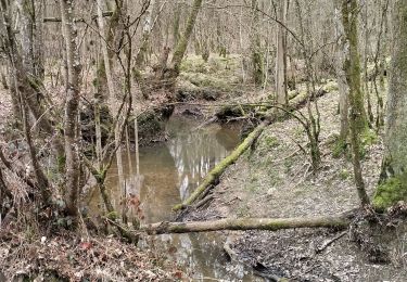 Trail Walking Laneuville-sur-Meuse - 55-Laneuville-bois-7km - Photo