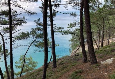 Trail Walking Crozon - Étape 5/6 du tour de Crozon (boucle à partir de St-Hernot) - Photo