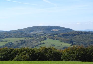 Excursión A pie Witzenhausen - Schneehagenweg - Photo