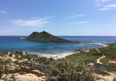 Trail Walking Ramatuelle - Cap Lardier,Cap Taillat par le col de Collebasse - Photo