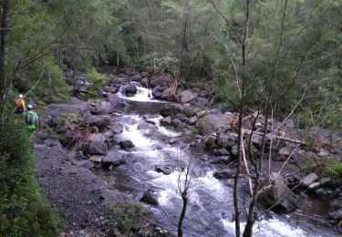 Tour Pfad Cilaos - Cilaos/gîte belouve/sentier scoot - Photo