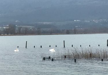 Randonnée Marche Viviers-du-Lac - Les Mottets - Photo