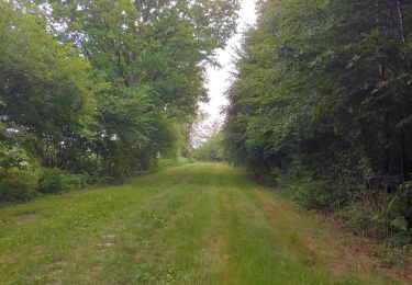 Tocht Stappen Chimay - depart poreaupre - Photo