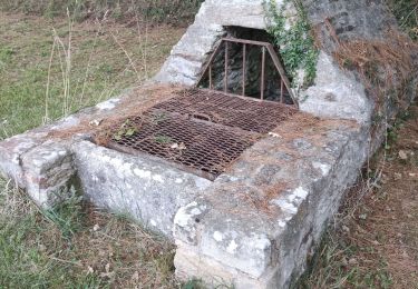 Randonnée Marche Sarzeau - corpoht - Photo