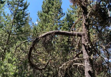 Tour Wandern Jausiers - Portes de l’enfer - Photo