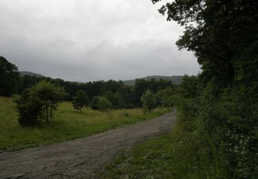 Trail On foot Felsőtárkány - K+ ( Stimecz-ház - Tamás-kút ) - Photo
