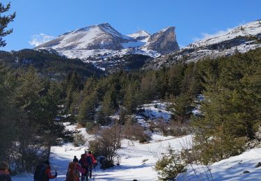 Percorso Racchette da neve Le Dévoluy - mercredi - Photo