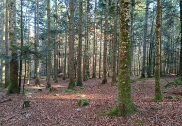 Trail Walking Claix - Le plateau du Peuil - Photo