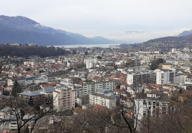 Randonnée Marche Aix-les-Bains - bois vidal pat - Photo