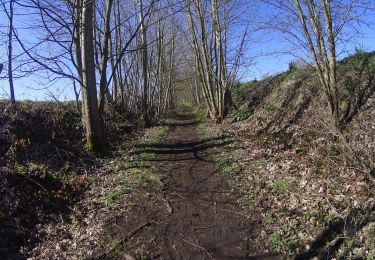 Tour Mountainbike Charleroi - ransart corroy le château - Photo