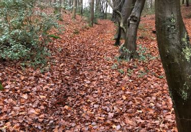 Tour Zu Fuß Sprimont - Louveigne-Andoumont-louveigne 9 Km - Photo