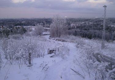 Tocht Te voet Onbekend - Fagersjöskogens elljusspår - Photo