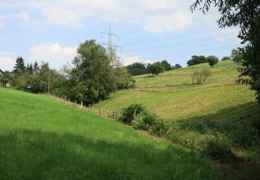 Randonnée A pied Inconnu - Rundweg um Kupferdreh - Photo