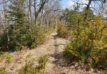 Trail Walking La Piarre - Serre du Charron - Photo