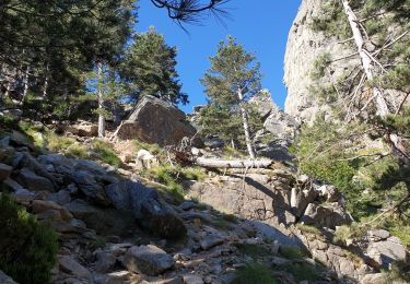 Randonnée Marche Quenza - tour de bavella - Photo