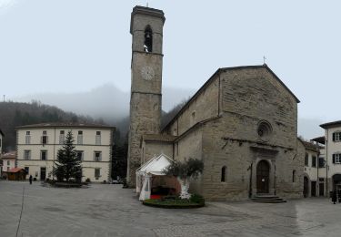 Tour Zu Fuß Bagno di Romagna - IT-167B - Photo