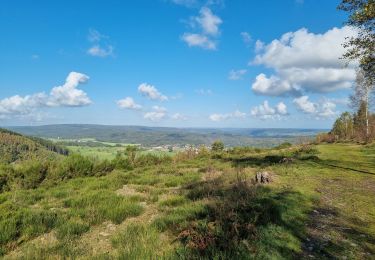 Tocht Stappen Vielsalm - ballade autour de salmchateau - Photo