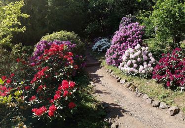 Tour Zu Fuß Bad Tabarz - Tabarz: Rundwanderweg 1 - Photo