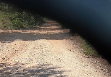 Tocht Stappen Montpellier - 4) Montpellier à Montarnaud - Photo