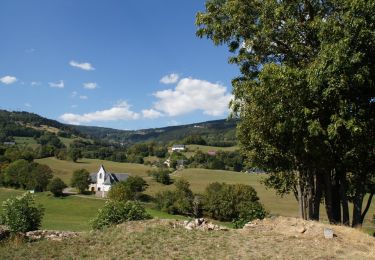 Trail Walking Orbey - Creux d'argent - Photo