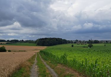 Randonnée Marche Hamois - Sentier d'art : de Schaltin à Gesves - Photo