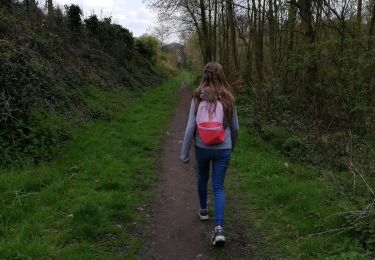 Tocht Stappen Morlanwelz - promenade bois et parc de mariemont - Photo