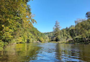 Trail Walking Houffalize - Nisramont  - Photo