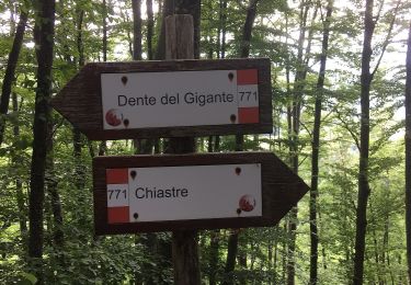 Percorso A piedi Calestano - Castello di Ravarano - San Biagio - Monte Scaletta - Castello di Ravarano - Photo