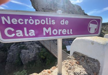 Tocht Stappen Ciutadella - Necropolis  cala Morel - Photo