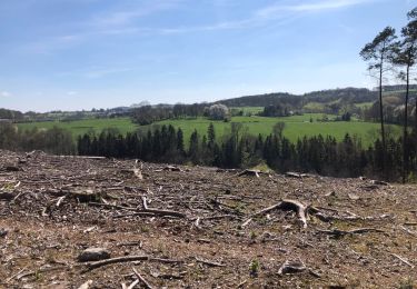 Percorso Marcia Sprimont - Louveigne -andoumont-fraipont bis 12 Km - Photo