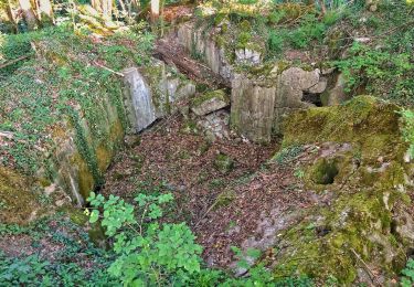 Tocht Te voet Merzig - Der Bietzerberger - Photo