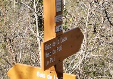 Trail Walking Sigale - '' ''.  - Photo