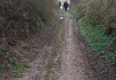 Tocht Stappen Bergen - cuesmes mesvin - Photo