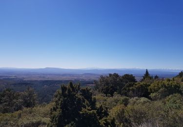 Tour Wandern Félines-Minervois - randonnées pédestres des marbrieres  - Photo