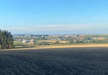 Randonnée Marche Gerpinnes - Jogging matinal  - Photo