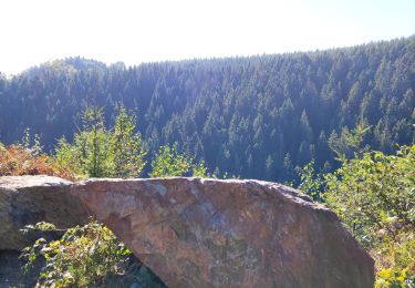 Tour Wandern Malmedy - Le pouhon des cuves   - Photo