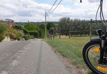 Tocht Elektrische fiets Ronse - Balade vélo  - Photo