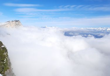 Trail Walking Lans-en-Vercors - vertige des cimes - Photo