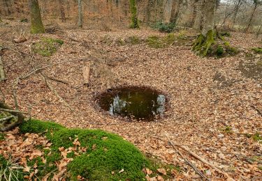 Trail On foot Markdorf - Wanderwege Markdorf: Froschweg - Photo