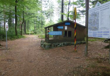 Excursión A pie Furth im Wald - Fu09 »Dreiwappenweg« (Furth im Wald) inkl. Abkürzung - Photo