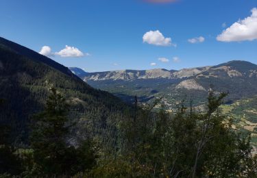 Tour Wandern Colmars - Montée à la Coletta - Photo