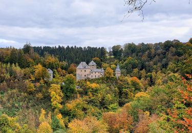 Tocht Stappen Waimes - Signal de Botrange, Ovifat & Château de Reinhardstein - Photo