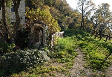 Trail On foot Crespadoro - Anello Ecoturistico Piccole Dolomiti 009 - Photo