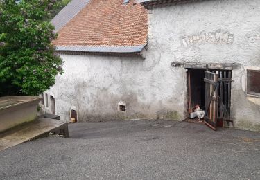 Tocht Stappen Lus-la-Croix-Haute - Col de Chante depuis Amayeres - Photo