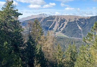 Tour Wandern Seyne - SEYNES . LA CABANE DU SERPENT O N  - Photo