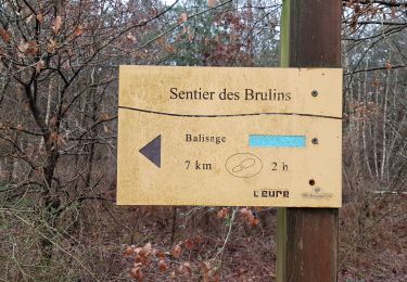 Trail Walking Criquebeuf-sur-Seine - 20190205-Les Brulains - Photo