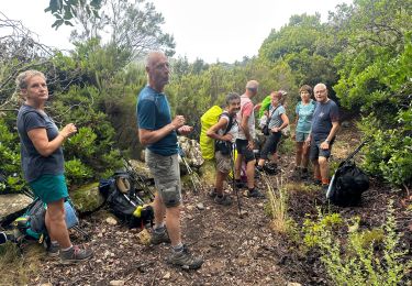 Trail sport Grosseto-Prugna - Mara Mar, centre dernier jour, 2024 - Photo